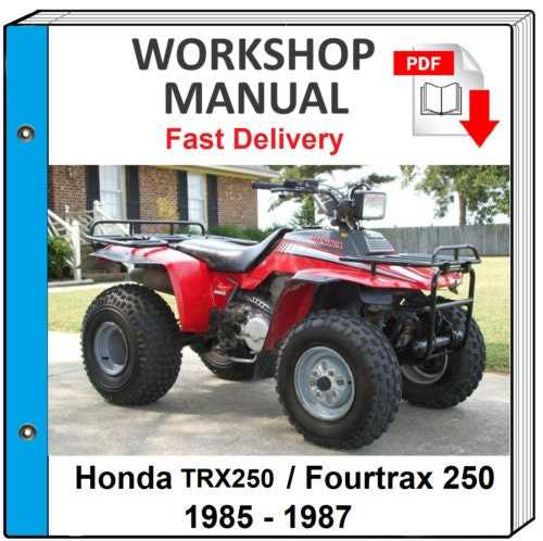 1993 honda fourtrax 300 repair manual