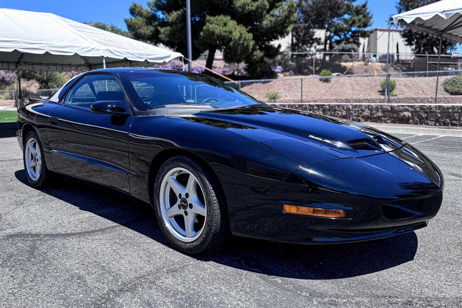 1996 pontiac firebird repair manual