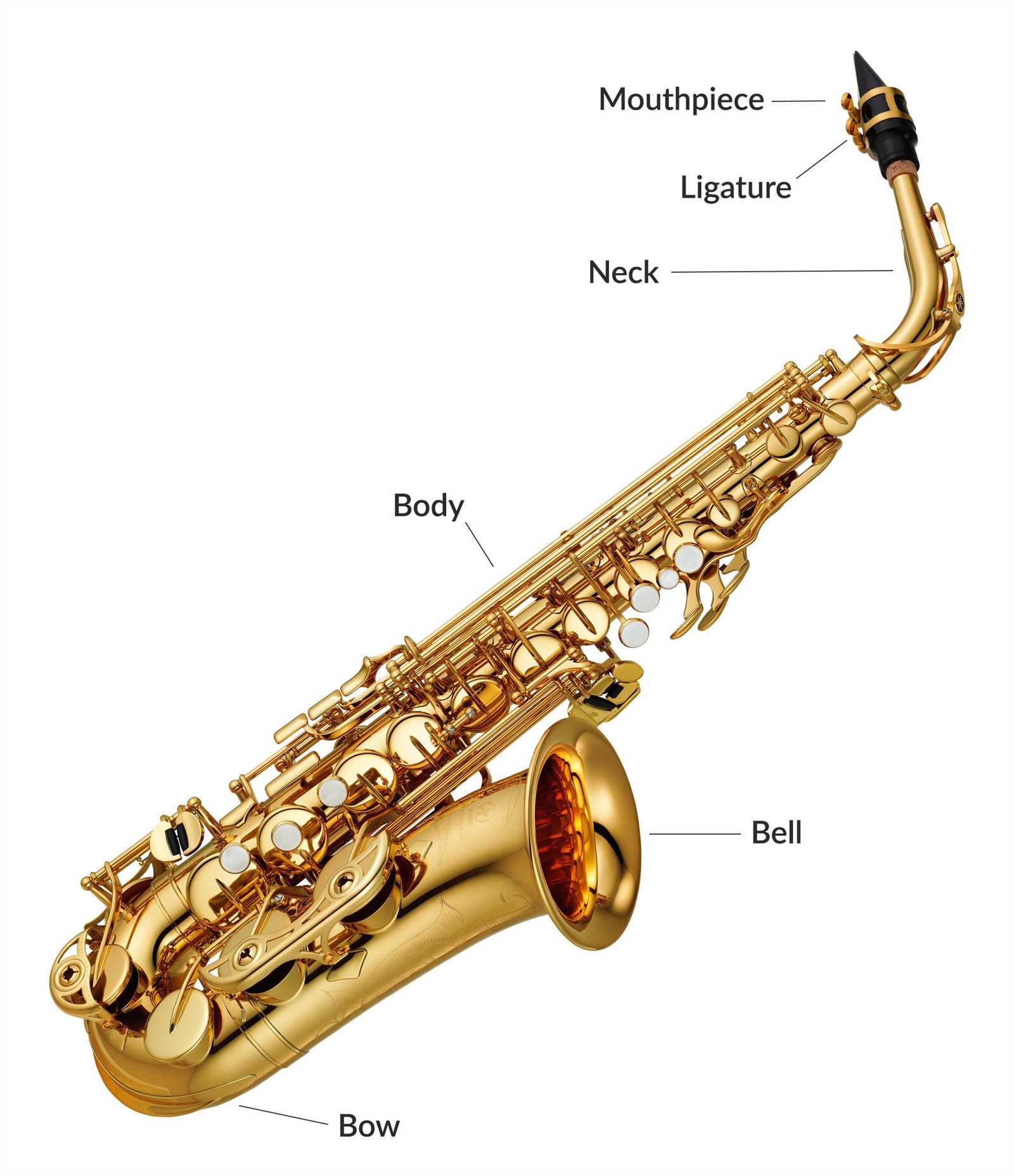 alto sax repair manual