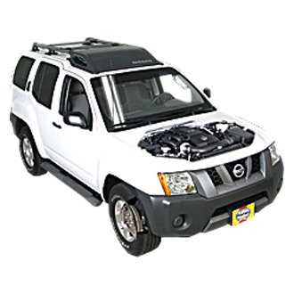 chilton nissan frontier repair manual