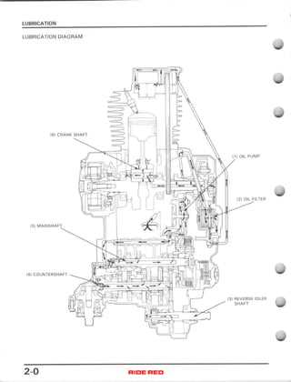 free honda recon 250 repair manual