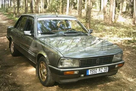 peugeot 505 repair manual