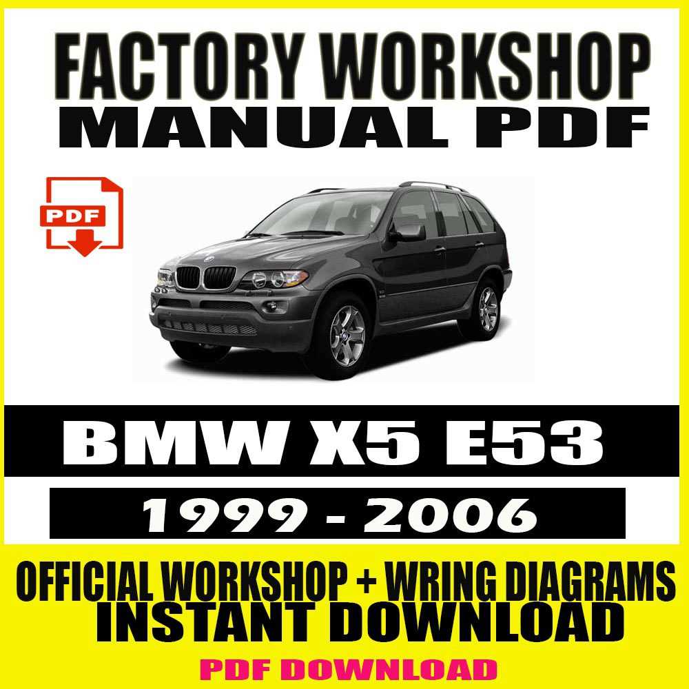 2002 bmw x5 repair manual