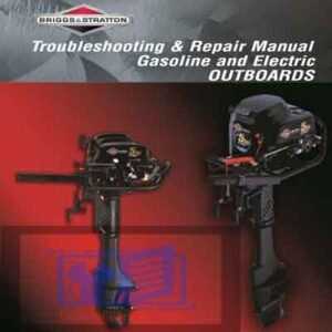 briggs and stratton twin cylinder l head repair manual