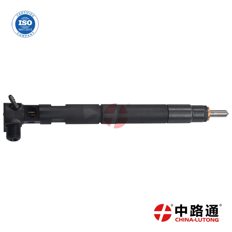 delphi common rail injector repair manual
