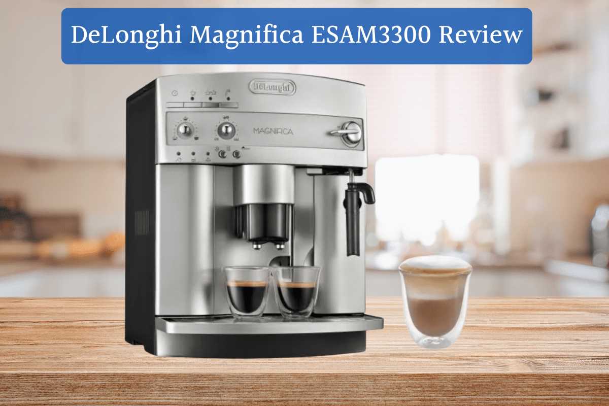 delonghi magnifica esam 3300 repair manual