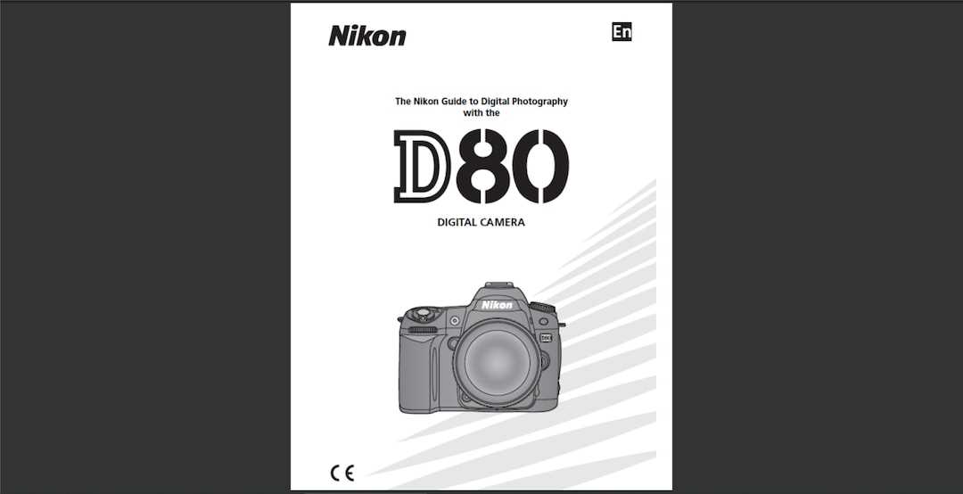 nikon d80 repair manual