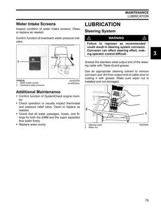 evinrude etec repair manual