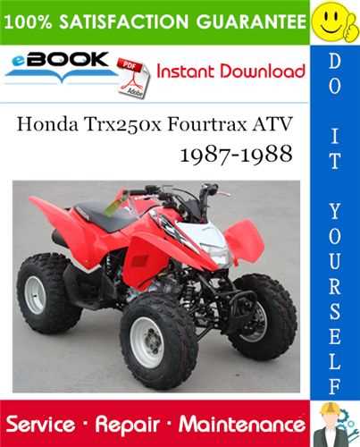 honda 250ex repair manual