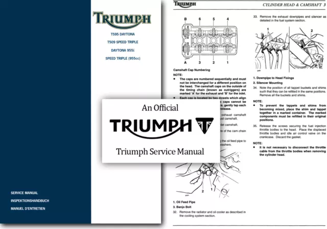 triumph speed triple repair manual