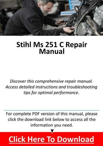 stihl ms 250 repair manual