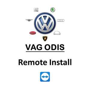 vag repair manual software